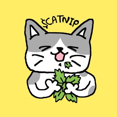 All cats love $CATNIP https://t.co/oPsZ80KYBy https://t.co/mst5i5HeVO

BkqnsNWCr6bLcQLQesC2evYu7AEEjDRM8eur1smnUAbX