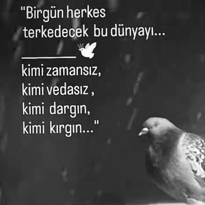 yanlizadam3437's profile picture. Yaşadıgım Süre Boyunca kimseye İhanet Etmedim Herkese Yardımcı Olmaya Çalıştım  Beni İyiligimle Vurdunuz Yok Ettiniz Artık Takatım Kalmadı Ne Yaşamaya ,,,,,,,,,