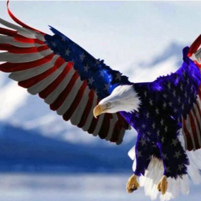 POhalloran12's profile picture. Interests: election security and Constitutional governance. (All posts are my personal opinions only)