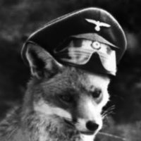 kenchu (@kenchu4088) 's Twitter Profile