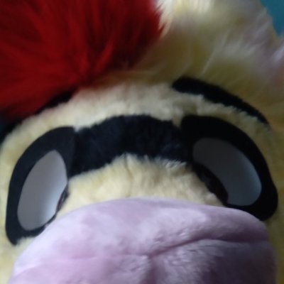 BlastBeatFolf Profile Picture