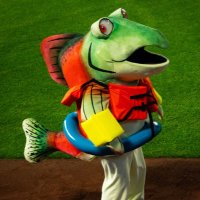 Humpy (@humpythesalmon) 's Twitter Profile Photo