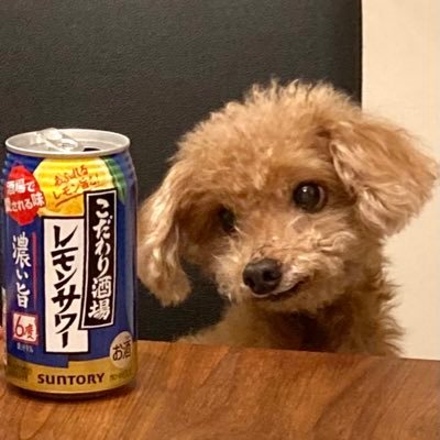 aroma_papa's profile picture. 国内外のクワガタやカブト等を飼育しています🥸 虫活と愛犬アロマ♂に関することを中心に投稿します🪲 🐶人や生き物を大切にされている方の、ほほえましい投稿、ポジティブな投稿を観て癒されたいです🎶 無言フォロー失礼します🙇🏻