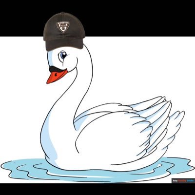 SwanSoldier1 Profile Picture