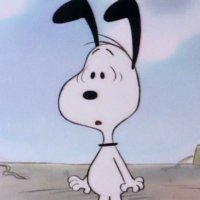 snoopy!!!(@snoopyfanbase) 's Twitter Profile Photo