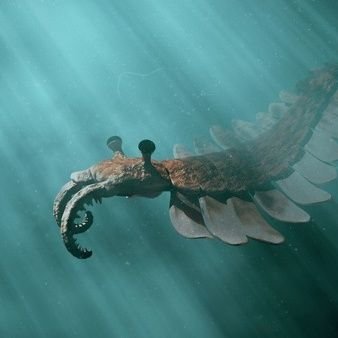 YEEEAH!!! 25,000,000 ANOMALOCARIDS!!! Artist / Game Dev / Musician / Inventor of Soup / Notable Dreamer | COMMS OPEN - DM FOR INFO