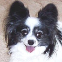 SilverGirl (@silver90880) 's Twitter Profile Photo