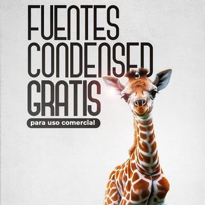 Me gusta hablar de todas las cosas de las que se supone que no se debe hablar en compañía educada.
73% caballero 27% pícaro.