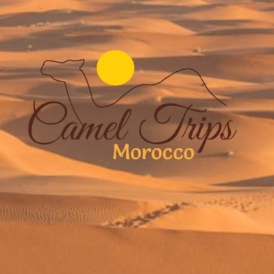 Organize Tours & Trips with All Package Accommodation & Transport in All Morocco.