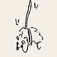 緩崎 (@yrs__k) 's Twitter Profile Photo