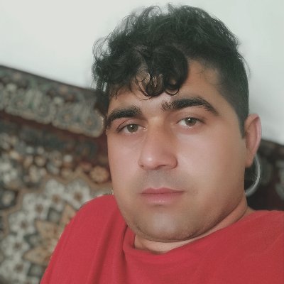 dariush8008's profile picture. 