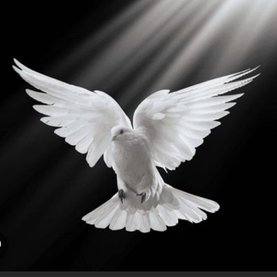 Live with Dignity - Die with Dignity • Peaceful End of Life is everyone's right • It's neither suicide nor sin • YES to EOL Choices • इच्छा मृत्यु - एक वरदान