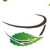 Sauna Herbal Cup Japan【公式】 (@herbalcupjp) Twitter profile photo Sauna Herbal Cup Japan【公式】 (@herbalcupjp) Twitter profile photo