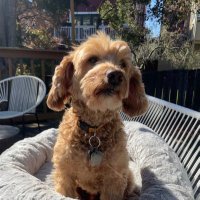 Jonathan Terdiman (@terdimanj) 's Twitter Profile