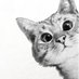 Me human (@shenehneh18) Twitter profile photo Me human (@shenehneh18) Twitter profile photo