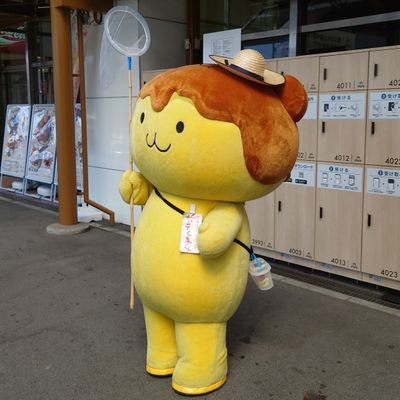 yutoohwada's profile picture. 中大電気2年