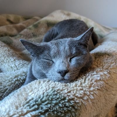 Software Engineer @ Ubie, inc. Developer of 症状検索エンジン「ユビー」(ja: https://t.co/MVqwghn18H en: https://t.co/VFgUt2f5K1)