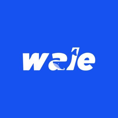 WaleOnBase's profile picture. 🐋 WALE Launch 🐋 All-in-1 Liquidity platform on @base