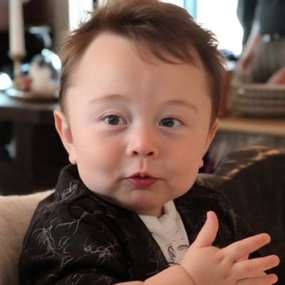 alpsmountain's profile picture. 