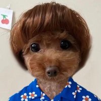 jizzy (@jizzclit) 's Twitter Profile Photo jizzy (@jizzclit) 's Twitter Profile Photo