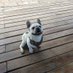 OODPET (@oodpet) Twitter profile photo OODPET (@oodpet) Twitter profile photo