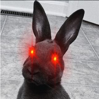 🐰Lapinator le lapin de la fin du monde🐰                  ⚠️Abonne-toi ou le lapin va absorber ton âme         🚨 RAID de qualité