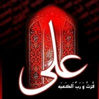 Hassan Raza PMLN (@byyyftdfyxb) 's Twitter Profile