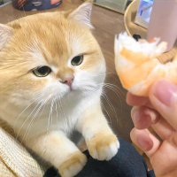 LifeME (@amengiqoo) 's Twitter Profile