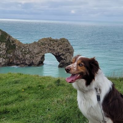 Dorset lad, born and bred, enjoy dog walks with my border collie Maia,