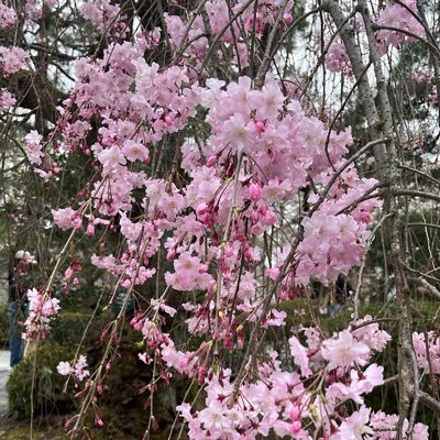 animel0ver7x's profile picture. 