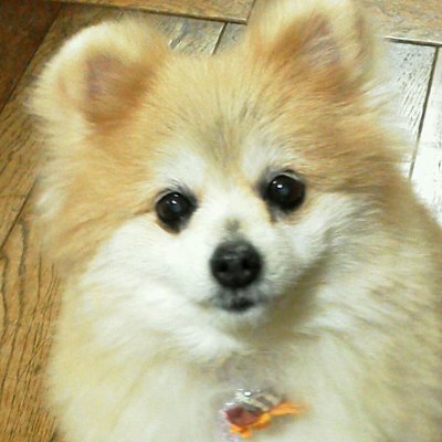 神峪さんのプロフィール画像