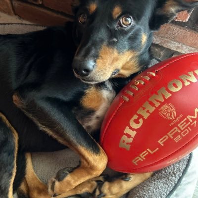 Marxscene's profile picture. 