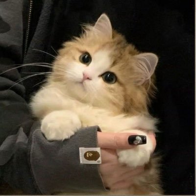 akariさんのプロフィール画像