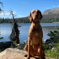 Kevin Coghlin (@kevincoghlin) 's Twitter Profile