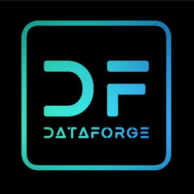 DataforgeERP's profile picture. Data Forge engageert zich om de werking van bedrijven op een kostenefficiënte manier te digitaliseren