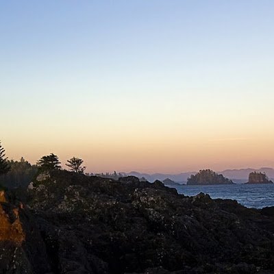 freetrip00's profile picture. 