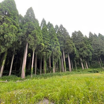 20代後半　福岡県