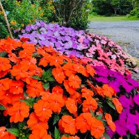 I_love_math symmetric (@i_love_math2020) 's Twitter Profile