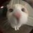 milkbboo's profile image