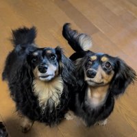 まきひろ (@mako83_mona928) 's Twitter Profile