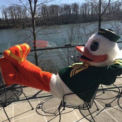Lifelong Ducks fan 💚💛🦆. Native Oregonian. Lover of Labs 🐕🦺