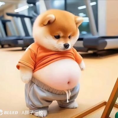 ho6396's profile picture. 