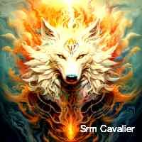 smcavaler's profile picture. The platform where nfts come together with the art of ambigram. ethereum