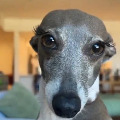 jeongchanie's profile picture. “at the end of the day man, having a boyfriend ain’t gon work”