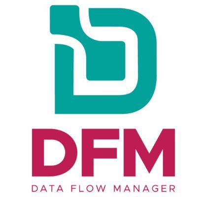 DFMSOLUTION's profile picture. Simplifiez la documentation des flux avec DFM - Votre allié dans la complexité !
