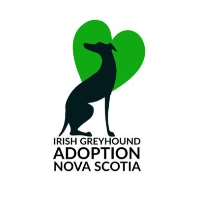 We are a volunteer organization dedicated to rehoming Irish greyhounds from the UK