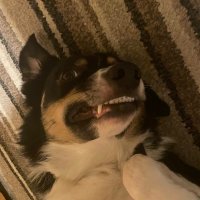kurkwtw (@kurkwtw) 's Twitter Profile