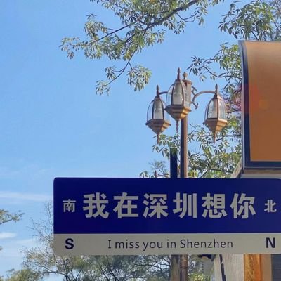 patrick43492110's profile picture. 