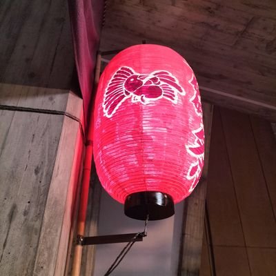 何をみても何かを思い出すので…
はるか昔に成人済だが
いつまで経っても大人になった気がしない
無言フォロー失礼します