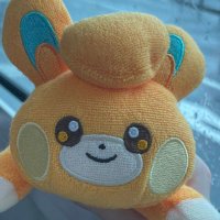 ももや (@mysh_poke) 's Twitter Profile